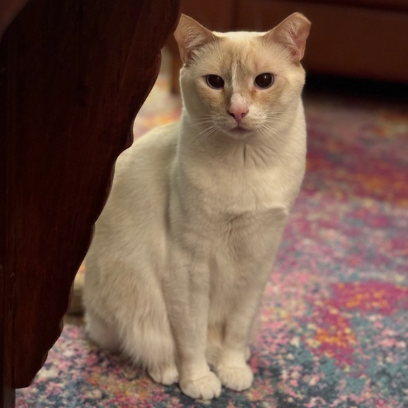 Hi :) - Picture 8 of 8